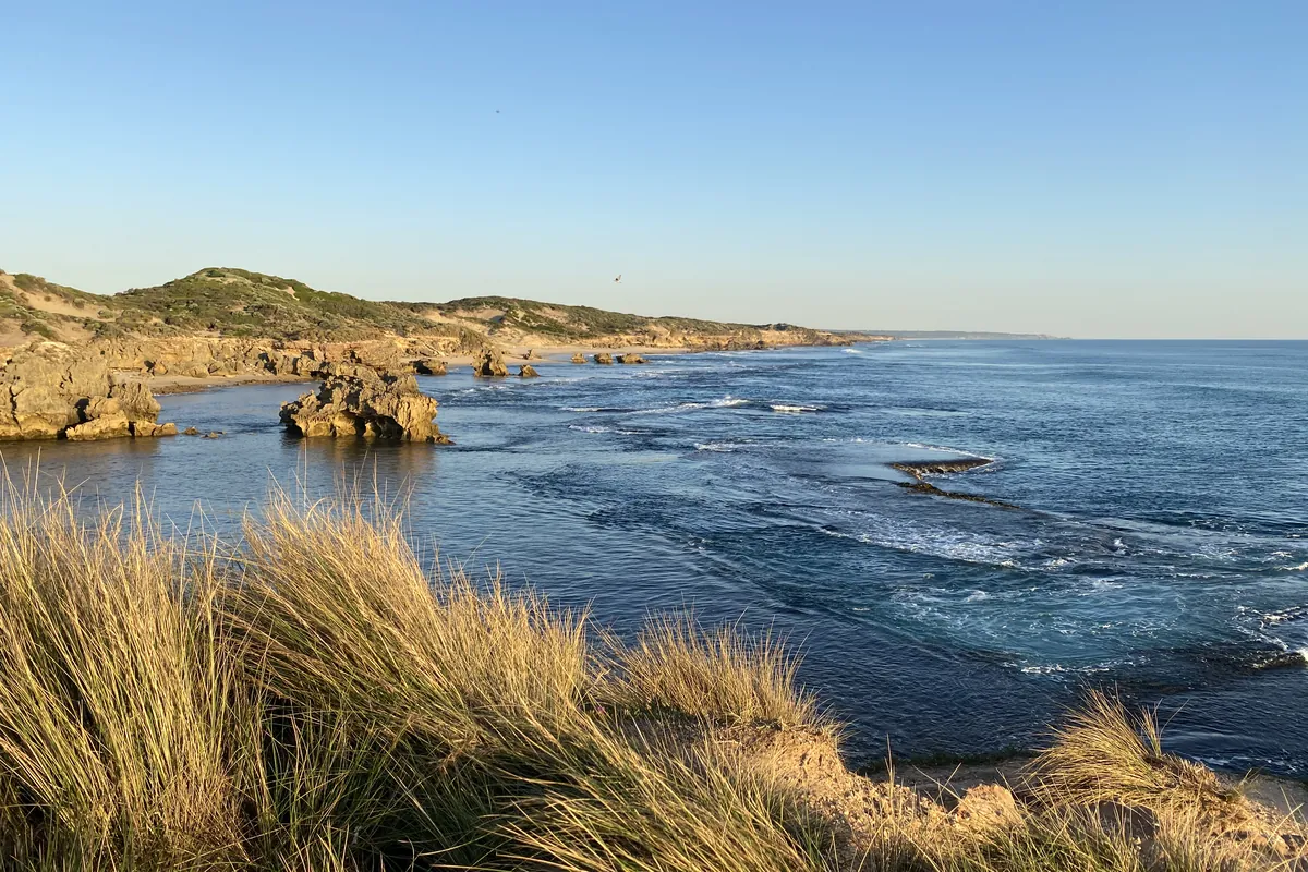 Golden evening light over the ocean and dune grass near Blairgowrie on the Mornington Peninsula